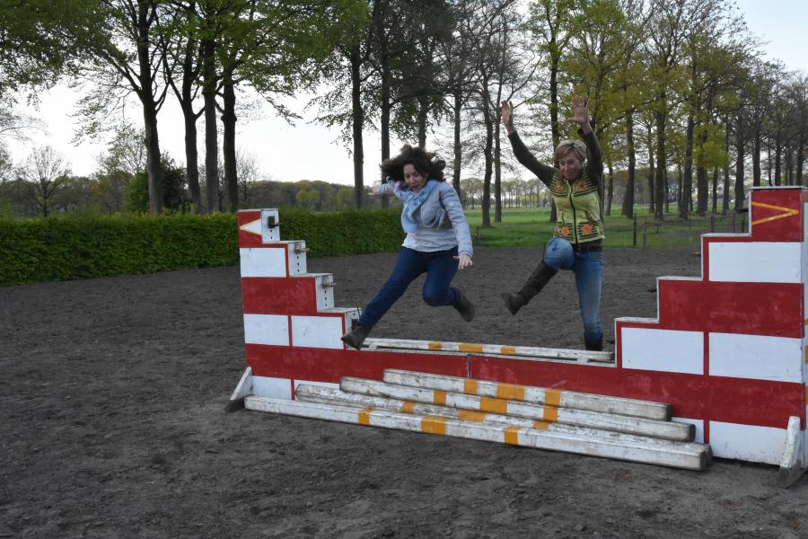 Jump afbeelding voor Horsefidence JUMP