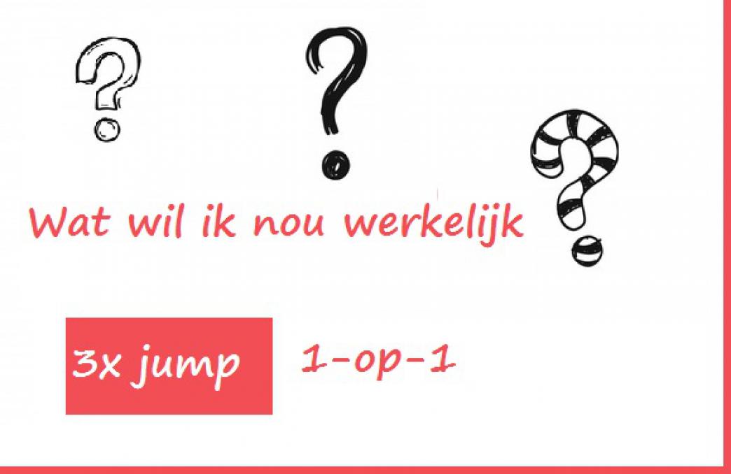 Jump afbeelding voor Wat wil ik nou werkelijk? 